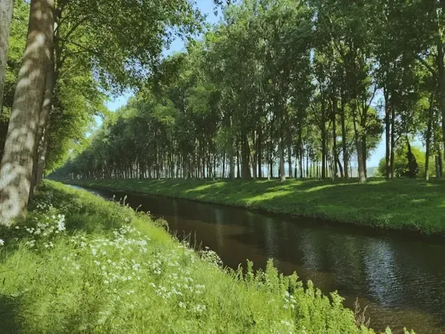 Canals & Rivers
