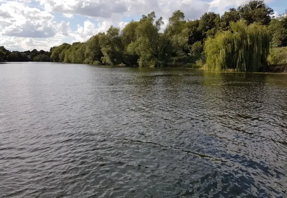 Invasive Algae Removal at Dartford Fishery