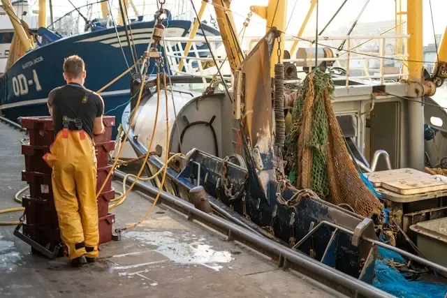 Looking After Fisheries During Summer Heatwaves