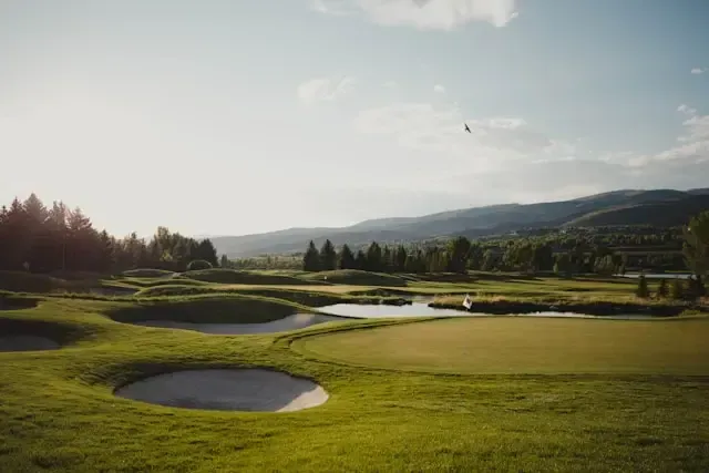 Dry Land & Turf