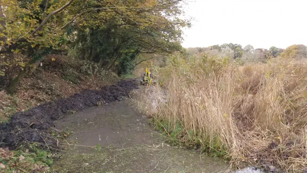 Site Preparation
