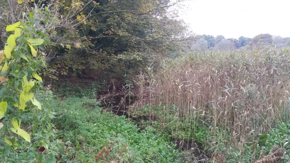 Site Preparation