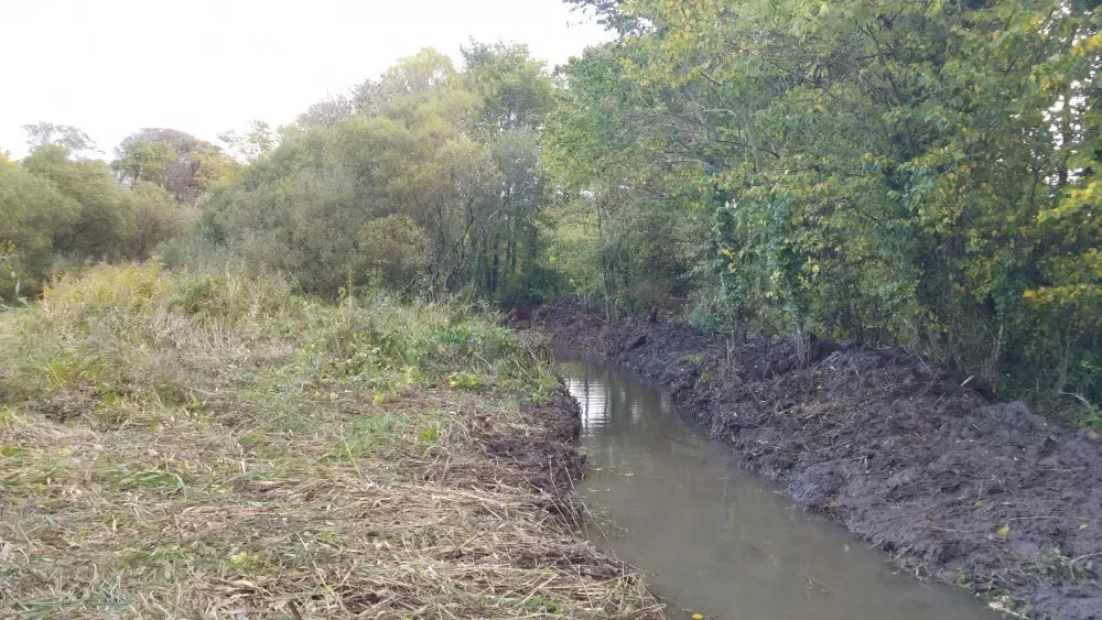 Site Preparation