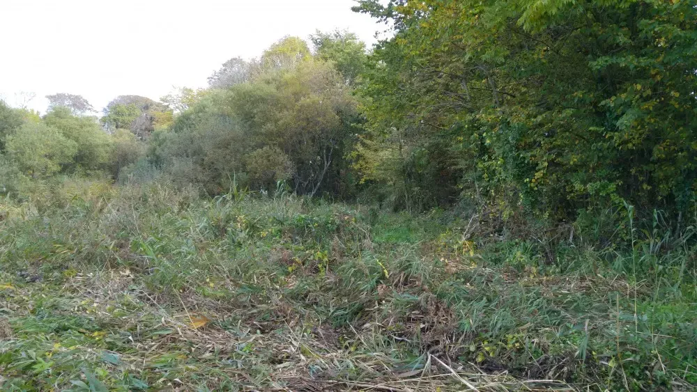 Site Preparation