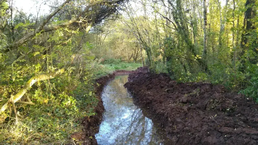Pembroke Mill Pond Habitat Restoration