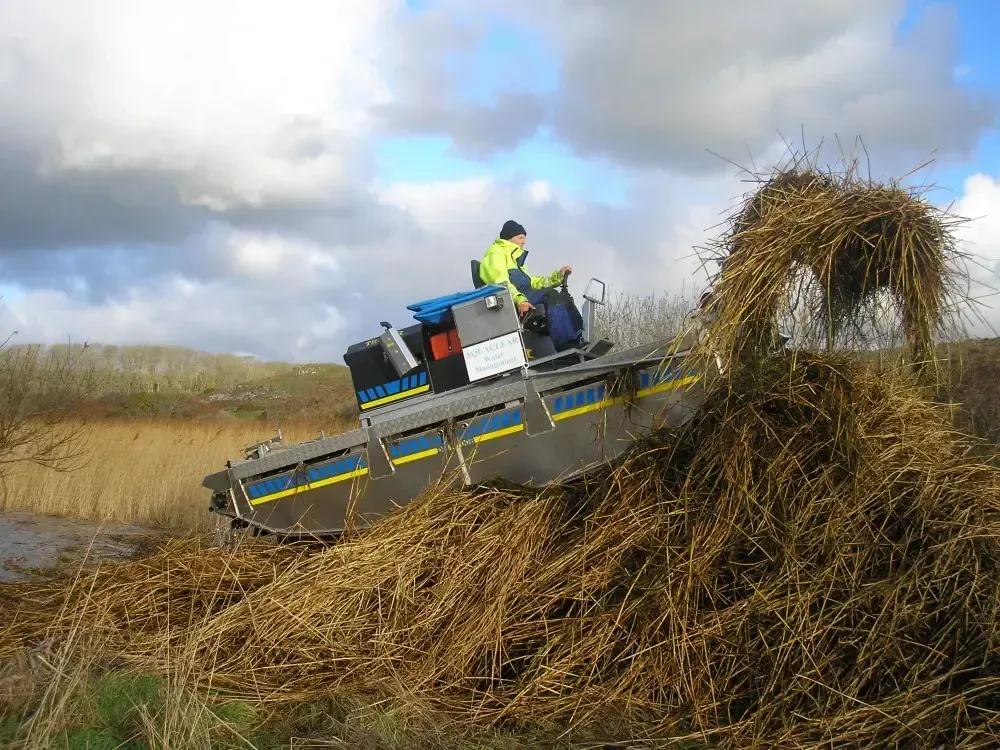 Reed Bed Wading Pool Creation