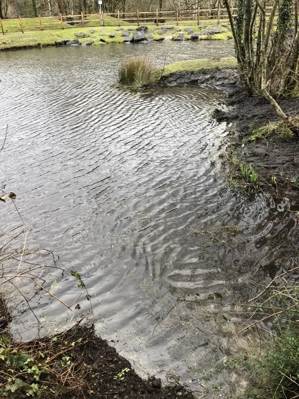 Public Pond Desilting in the Welsh Valleys